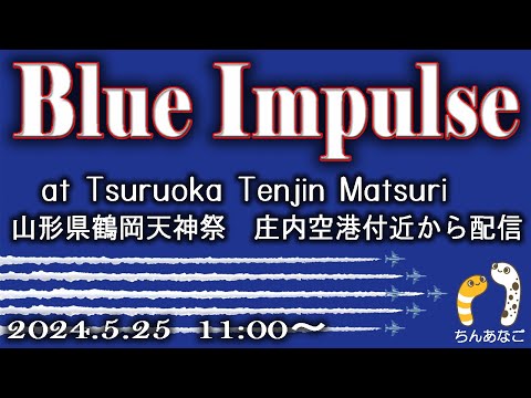 2024年 鶴岡天神祭・鶴岡公園 ブルーインパルス YouTubeライブ配信アーカイブのサムネイル