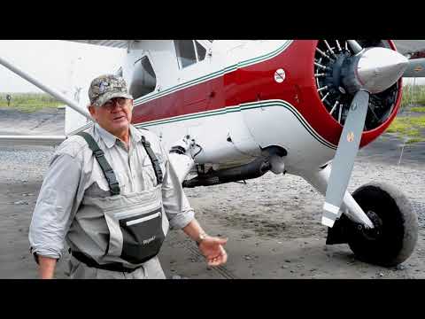 Brown Bear Photography with the Canon 1dxmk3, Sigma 60 600, Sigma fp, and the Sigma 500 Prime