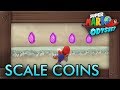 Super Mario Odyssey All Purple Scale Coins Lake Kingdom