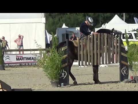 World Championship Working Equitation 2022 in les Herbiers maniabilitè Filipe Gilberto on ZINQUE