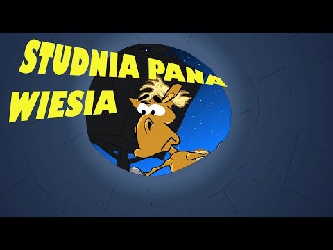 KOŃ RAFAŁ - CZWARTEK, STUDNIA PANA WIESIA