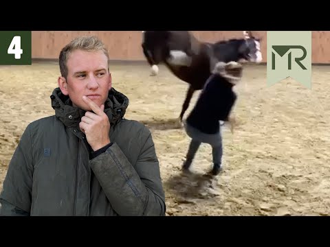 DANGER during groundwork - PROBLEM HORSES Episode 4