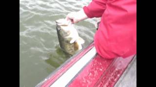 preview picture of video 'Two Giant Largemouth Bass 10 lb. pounders Caught at Falcon Lake'
