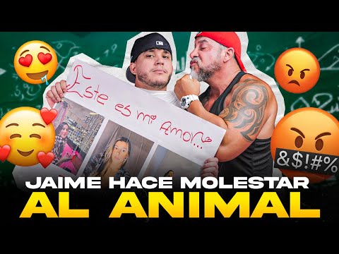 ¡LA PÚBLICA tiene nuevo profesor de DEPORTE! 😱 (Ft. El Animal, Jaimeantv)