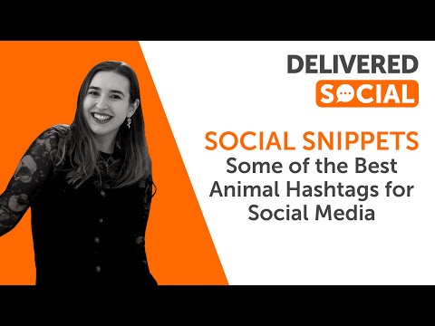 Some of the best animal hashtags to use on Instagram