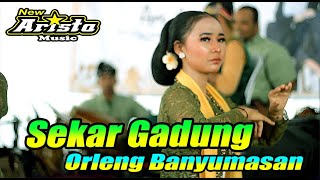 Download lagu CALUNG ORLENG BANYUMASAN RICIK RICIK SEKAR GADUNG || NEW ARISTA MUSIC mp3