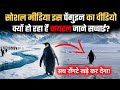क्यों हो रहा है Nihilist Penguin का वीडियो वायरल R