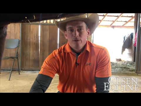 CRACKED HOOF!   Fixing a Serious Quarter Crack on a Big Time Barrel Racing Horse