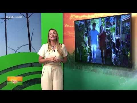 Agro Record: MERCADO FLORES