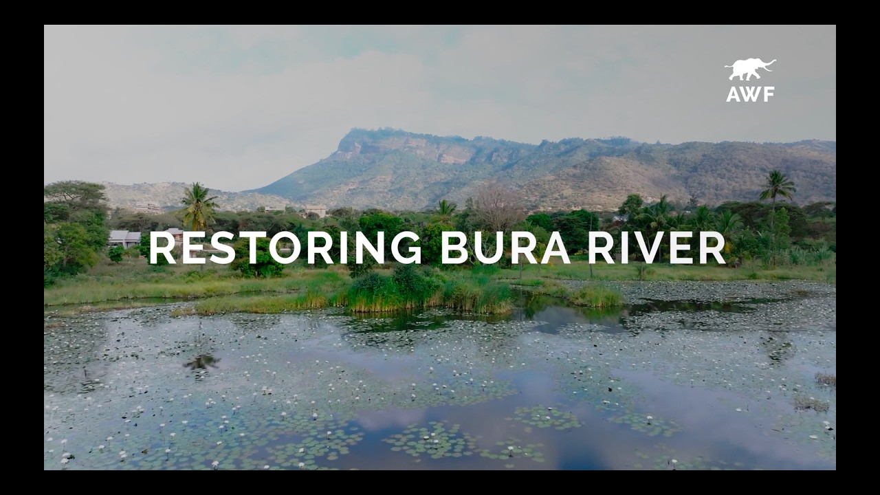 Restoring Bura River