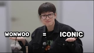 Cover art for Wonwoo is so ✨ICONIC✨