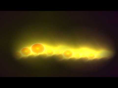 Fraternity Of Man - Don't Bogart Me