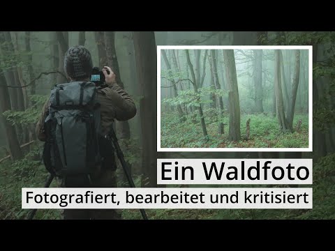 Naturfotografie: Ein paar Bäume im Nebel | Fotografiert, bearbeitet und kritisiert