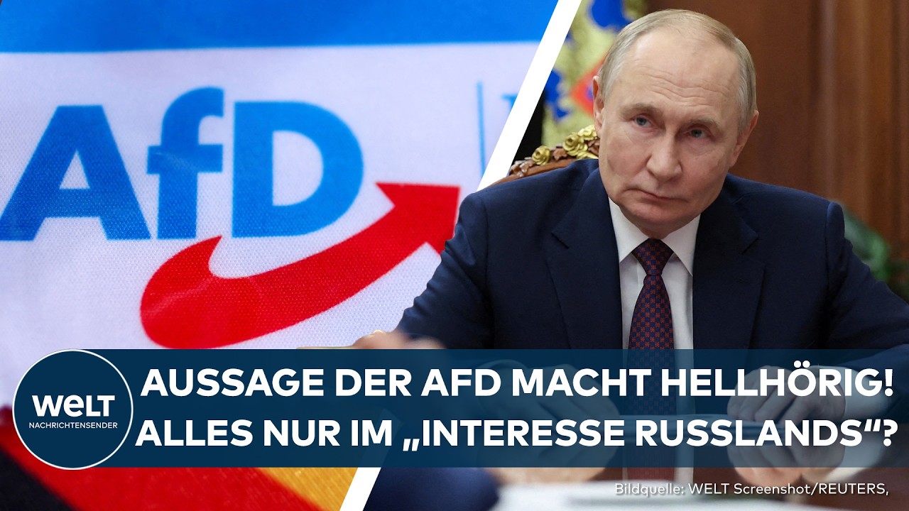 POLITIK: Aussage von AfD-Politiker Frohnmaier zu Russland macht hellhörig!
