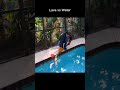 Lava vs Water