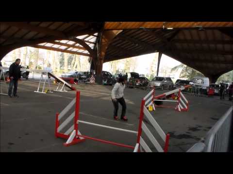 Cours Brive "Demon Black"