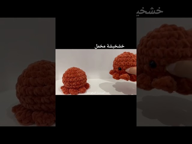 خشخيشة مخمل