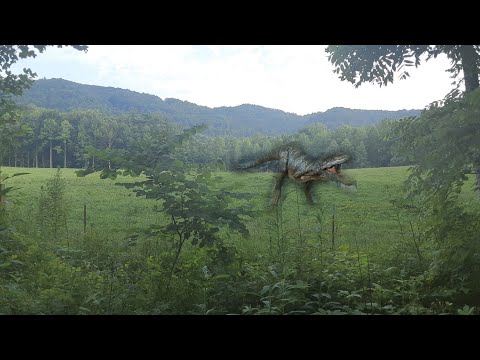 A look at Cretaceous Appalachia