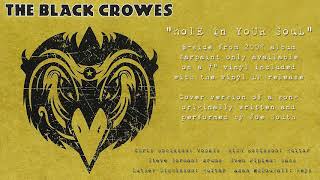 The Black Crowes - Hole In Your Soul (Warpaint B Side)