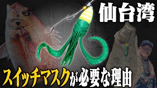 【ビンビンスイッチ】秋の仙台湾。スイッチマスクがあれば、こんなにも多魚種が釣れる！｜山戸田 恵一 #タイラバ#ビンビンスイッチ#スイッチスティック