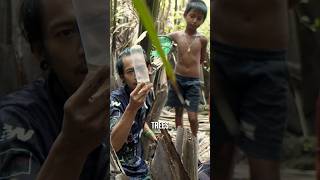 Download lagu Menemukan Betta mahachaiensis yang SANGAT LANGKA! Apakah ia akan PUNAH? #wildlifebetta #bettafish mp3
