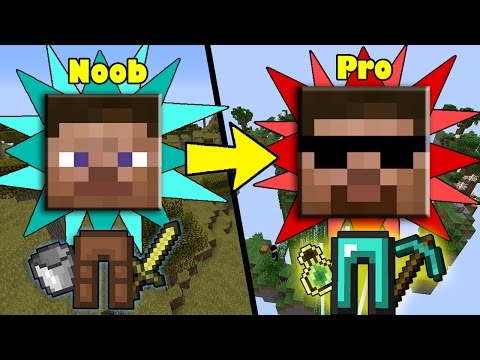 Ways how ANYONE can Transform from NOOB to PRO in Minecraft