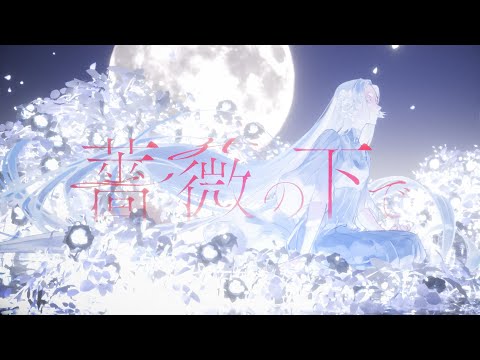 tayori - 薔薇の下で (Official Video)