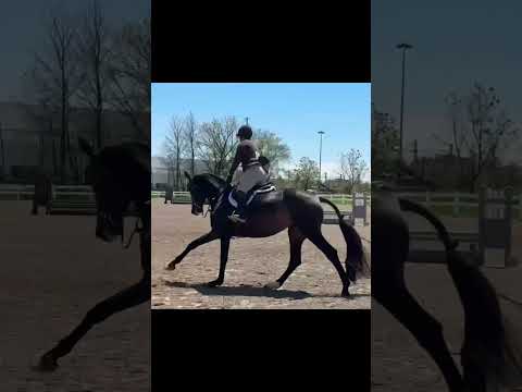 RS Sabrina W video 1