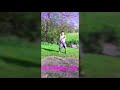 FoolBoy Kelly Chiraqimony Dance