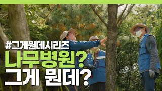 우리 주변의 나무가 아플 때는 나무병원을 찾아주세요