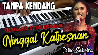 Download lagu NINGGAL KATRESNAN - THAILAND NJARAN || TANPA KENDANG • DIKE SABRINA mp3