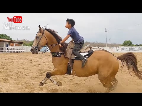 VAQUEIRO LEVY - TREINO DE VAQUEJADA NO PARQUE GUARANI