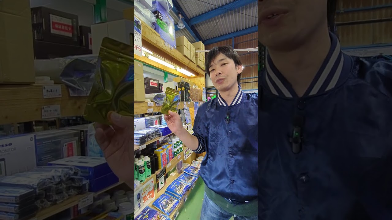 TOCプレゼント | アクアリウム 熱帯魚