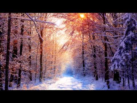 Max Graham Ft. Neev Kennedy - Sun In The Winter (Alex M.O.R.P.H. Remix)
