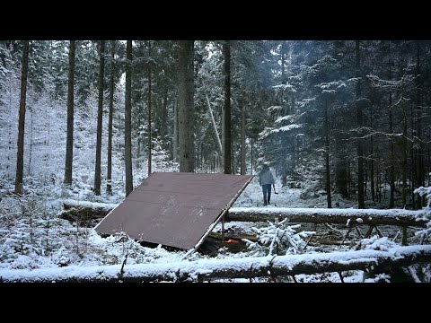 Solo bushcraft trip - snow, canvas tarp, steak, reindeer skin, spruce bed, homemade axe and knife