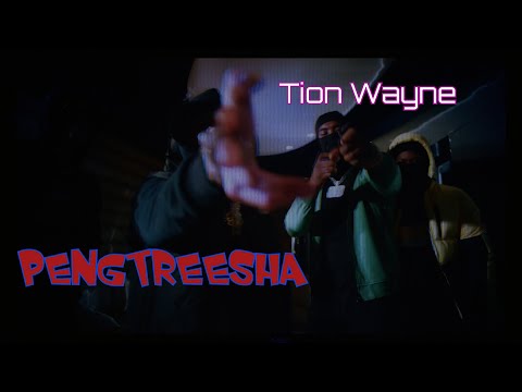 Tion Wayne - Pengtreesha (Tion Only) @TionWayne9