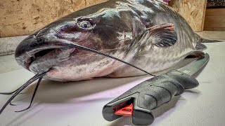 How to Fillet a BIG Catfish for Maximum Yield & Perfect Fillets!