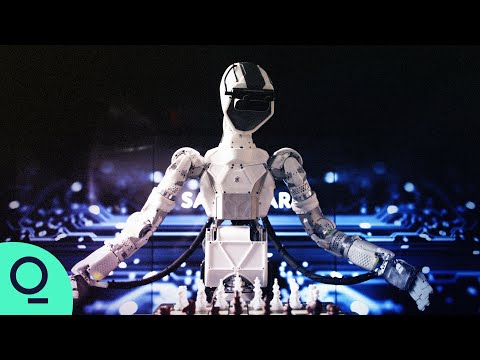 Phoenix Review Video 2