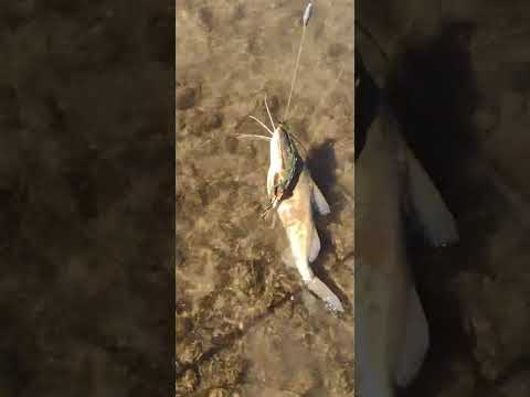 #para ti #pesca deportiva #aguas calientes #jujuy #amigo