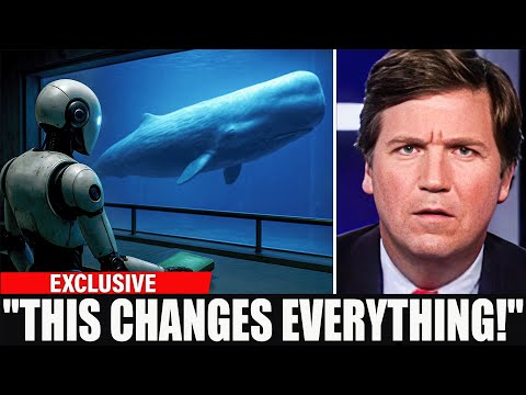 Scientists Just Decoded Language of the Whales Using AI... And It's Not What You Think