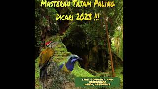 Download lagu Masteran Paling Dicari ! Putar Pelan untuk Burung Anda ! Cucak Cungkok Vs Pelatuk Bawang #masteran mp3