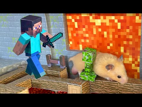 Minecraft stories: Hamsters vs Zombies vs Pacman 🧟  Sun Hamster