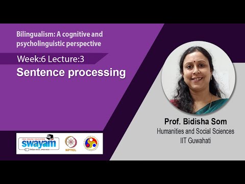 Bilingualism A cognitive and psycholinguistic perspective Intro Video