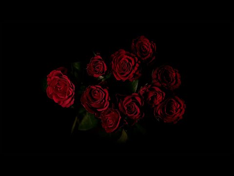 Santzu - Isso é Só Fase ft. Tepha (Prod. Santzu)