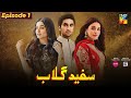 Sufaid Gulab Episode 1 | Hamza sohail | Sehar Khan | Anmol Balooch | Fairy tale Cast pakistani drama