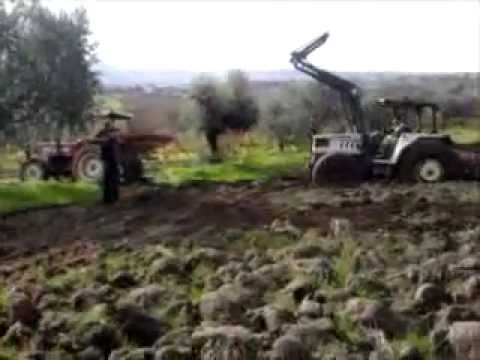 fiat tira lamborghini