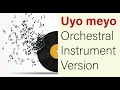 Uyo meyo orchestral instrument version