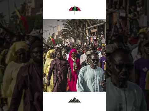 #FreeSenegal SCR ft Bissichi, JPN, Demba-J