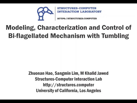 Modeling, Characterization, and Control of Bacteria-inspired Bi-flagellated Mechanism with Tumbling
