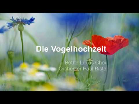 Vogelhochzeit. Ein Vogel wollte Hochzeit machen, Fidirallala. Mit Text. Biste (HD 1080p)